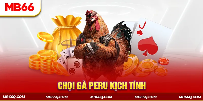Đá Gà MB66 - Đấu Trường Đổ Máu Của Các Chiến Kê Hàng Đầu - Wincomet99