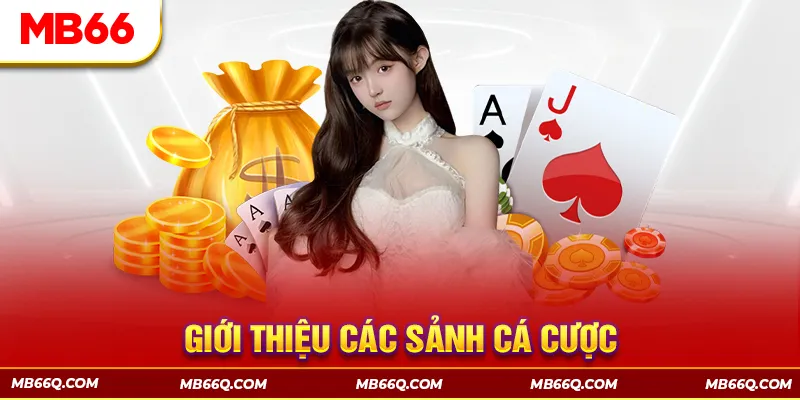 Giới Thiệu MB66 - Khám Phá Sân Chơi Cá Cược Top 1 Châu Á - Wincomet99