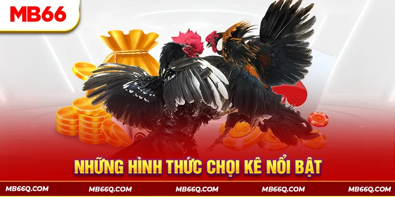 Đá Gà MB66 - Đấu Trường Đổ Máu Của Các Chiến Kê Hàng Đầu - Wincomet99