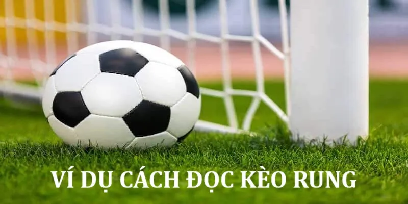Cách Đọc Kèo Rung MB66 Chính Xác Để Tăng Cơ Hội Thắng - Wincomet99