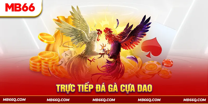 Đá Gà MB66 - Đấu Trường Đổ Máu Của Các Chiến Kê Hàng Đầu - Wincomet99