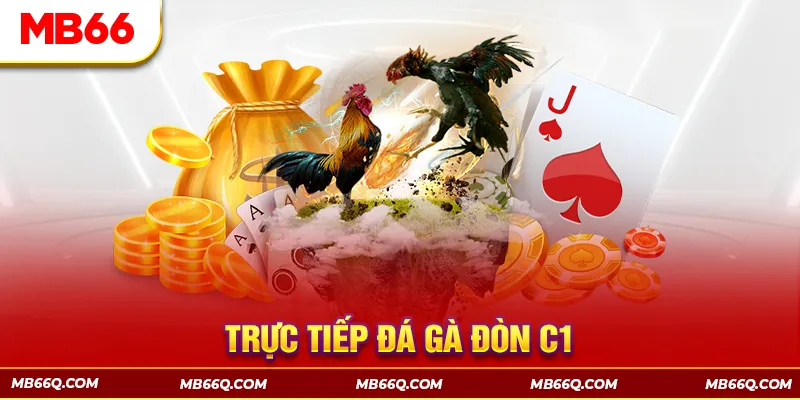 Đá Gà MB66 - Đấu Trường Đổ Máu Của Các Chiến Kê Hàng Đầu - Wincomet99
